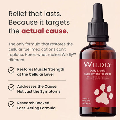 Wildly™ NAD+ Formula No.1