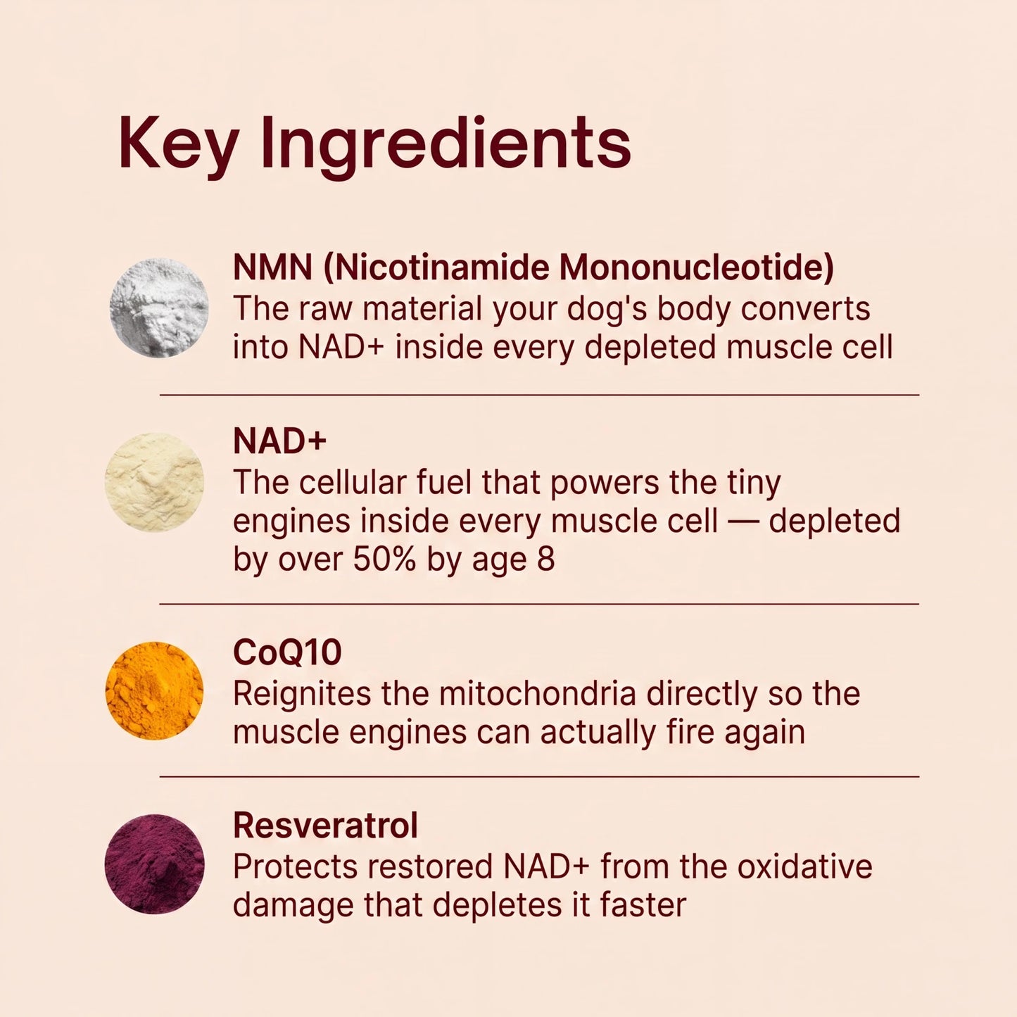 Wildly™ NAD+ Formula No.1